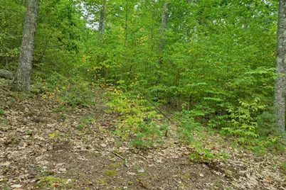 0 Kings Highway, New Durham, NH 03855 - Photo 5