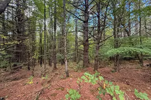 526 New Hampshire Rte 25C, Piermont, NH 03779 - Photo 33