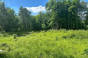 Lot#3 Frescoln Rd, Wentworth, NH 03282 - Photo 1