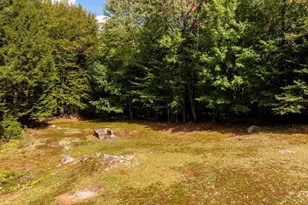 55 Boys Camp Rd, Enfield, NH 03748 - Photo 33