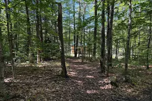 275 Ossipee Mountain Road, Ossipee, NH 03814 - Photo 25