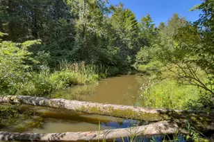 25 Runaway Rd, Newfields, NH 03856 - Photo 57