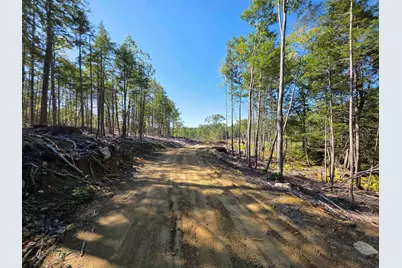 Shannon Road, Gilmanton, NH 03237 - Photo 3