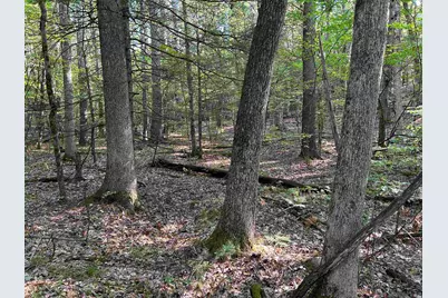 65 Case Road, Nottingham, NH 03290 - Photo 35