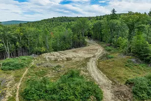 110 Route 28, Ossipee, NH 03864 - Photo 1