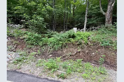 Lot #8-30-1 Tyler Road, Webster, NH 03033 - Photo 9