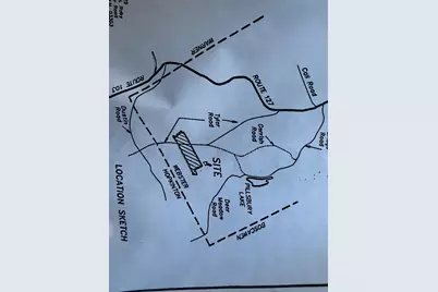 Lot #8-33-3 Tyler Road, Webster, NH 03033 - Photo 5