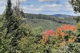 117 Daniel Beard Rd, Pittsburg, NH 03592 - Photo 9