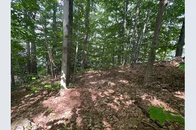 Lot #20A-333-70 Route 103, Newbury, NH 03255 - Photo 7