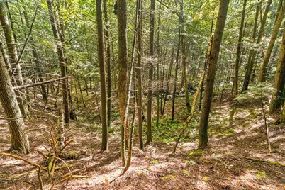 000 Meriden Road, Lebanon, NH 03766 - Photo 13