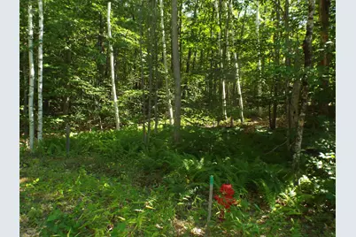 5 Squam River Landing, Ashland, NH 03217 - Photo 9