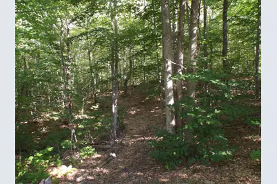 5 Squam River Landing, Ashland, NH 03217 - Photo 7