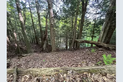 Map 17 Lot 31 River Road, Bath, NH 03740 - Photo 19