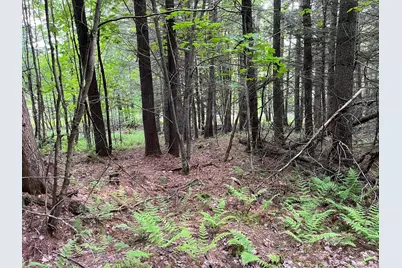 Map 17 Lot 31 River Road, Bath, NH 03740 - Photo 23
