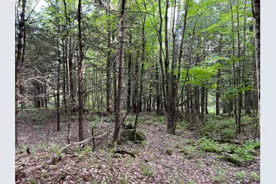 Map 17 Lot 33 River Road, Bath, NH 03740 - Photo 25
