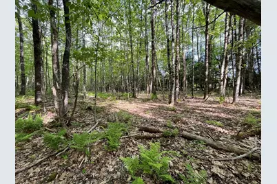 Map 17 Lot 33 River Road, Bath, NH 03740 - Photo 17