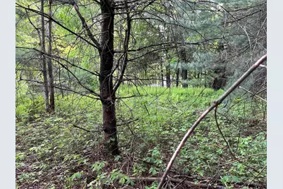 Map 17 Lot 33 River Road, Bath, NH 03740 - Photo 21