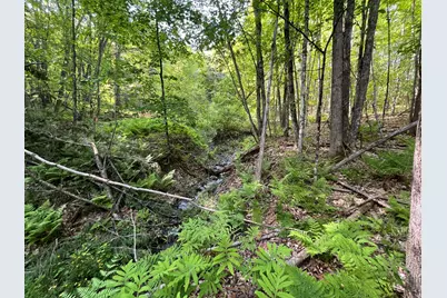 Map 17 Lot 33 River Road, Bath, NH 03740 - Photo 15