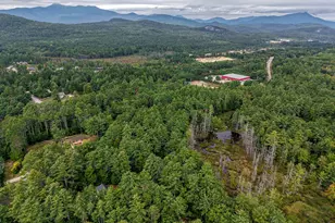 12 Burgdorf Dr, Madison, NH 03849 - Photo 37