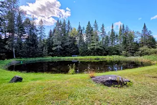 255 Gray Rd, Columbia, NH 03576 - Photo 37