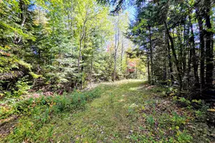 255 Gray Rd, Columbia, NH 03576 - Photo 51