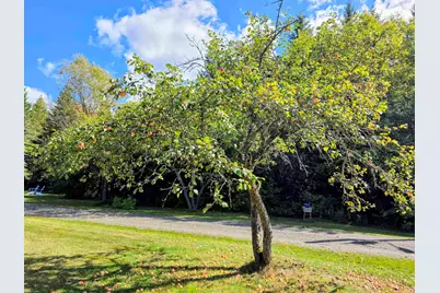 255 Gray Road, Columbia, NH 03576 - Photo 45
