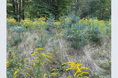 0 Route 120, Cornish, NH 03745 - Photo 7