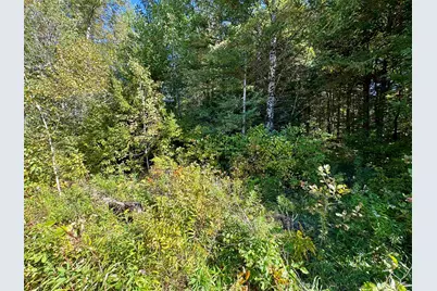 Tbd US Route 3, Columbia, NH 03576 - Photo 7