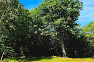 90 Deer Run Rd, Henniker, NH 03242 - Photo 47