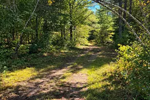 147 Green Mountain Rd, Effingham, NH 03882 - Photo 11