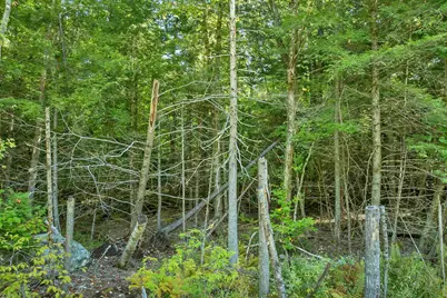 Rogers Road #343A, Barnstead, NH 03225 - Photo 25