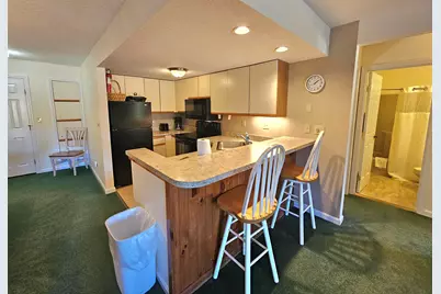164 Deer Park Drive #175B, Woodstock, NH 03262 - Photo 5