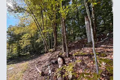 0 Cutoff Road, Sanbornton, NH 03269 - Photo 7