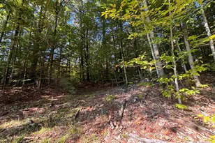 0 Cutoff Rd, Sanbornton, NH 03269 - Photo 1