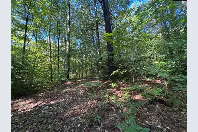 0 Cutoff Road, Sanbornton, NH 03269 - Photo 3