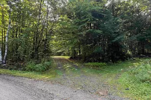 0 Old Bow Ext, Weathersfield, VT 05156 - Photo 29