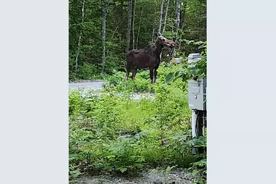 395 North Dorchester Road, Wentworth, NH 03282 - Photo 25