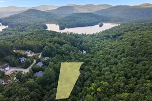 Lot 201 &amp 202 Frohock Brook Rd, Alton, NH 03810 - Photo 1
