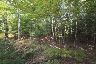 73 Boys Camp Rd, Enfield, NH 03748 - Photo 23