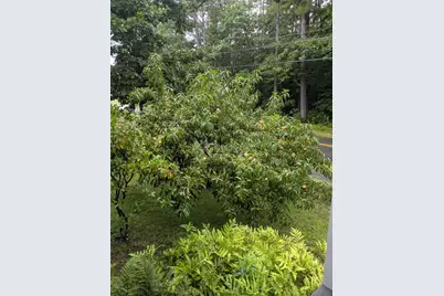 32 Old Walpole Road, Keene, NH 03431 - Photo 35