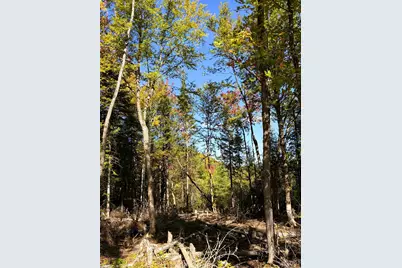 0 Cyr Road, Littleton, NH 03561 - Photo 11