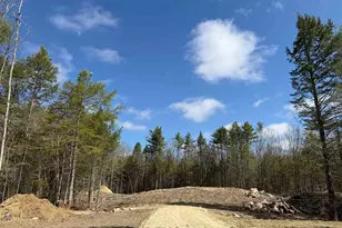 122 Robert Rodgers Rd, Dunbarton, NH 03046 - Photo 1