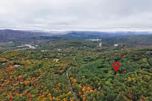 66 Tobey Rd, Campton, NH 03223 - Photo 7