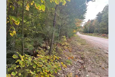 Lot 5 Phineas Graves Road, Tuftonboro, NH 03816 - Photo 9