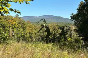 151 Brown Rd, Warner, NH 03278 - Photo 7