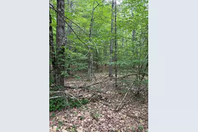 00 Milford Avenue, Freedom, NH 03836 - Photo 3