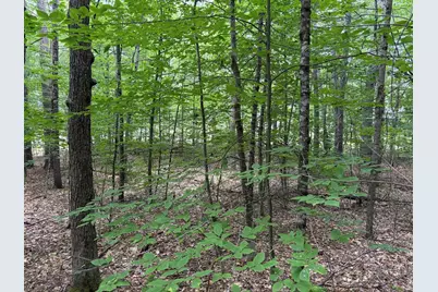 00 Milford Avenue, Freedom, NH 03836 - Photo 9