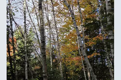 Minik Drive, Clarksville, NH 03592 - Photo 17