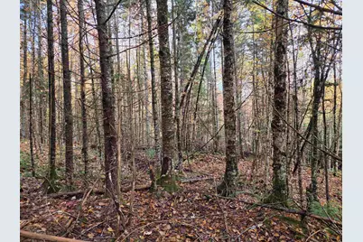 Minik Drive, Clarksville, NH 03592 - Photo 23