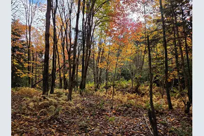 Minik Drive, Clarksville, NH 03592 - Photo 19